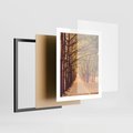 Plakat w ramie 40x50 - Wędrówka między drzewami - droga, drzewa - rama czarna