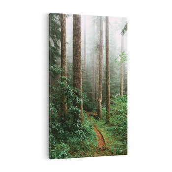 Obraz na płótnie 80x120 - Mgliste Marzenia - artystyczna fotografia, las