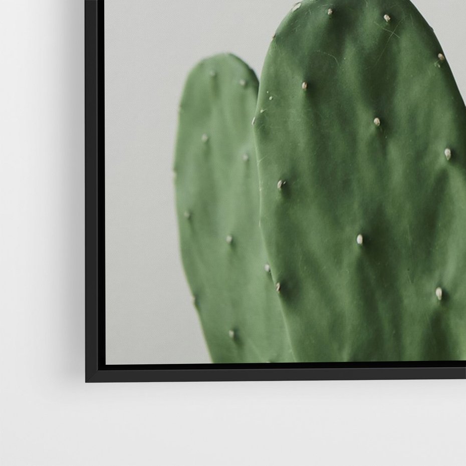Obraz w ramie 50x70 - Majestatyczne Wysokości - kaktusy, liście - rama czarna