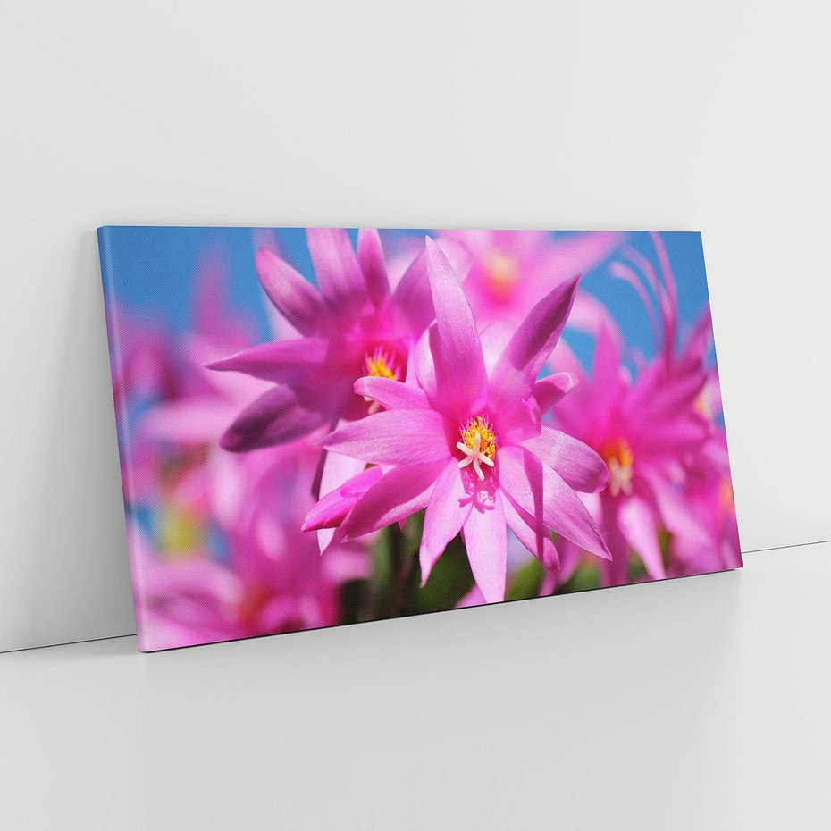 Obraz na płótnie 120x60 - Kwiatowy urok - kwiat, kwiaty