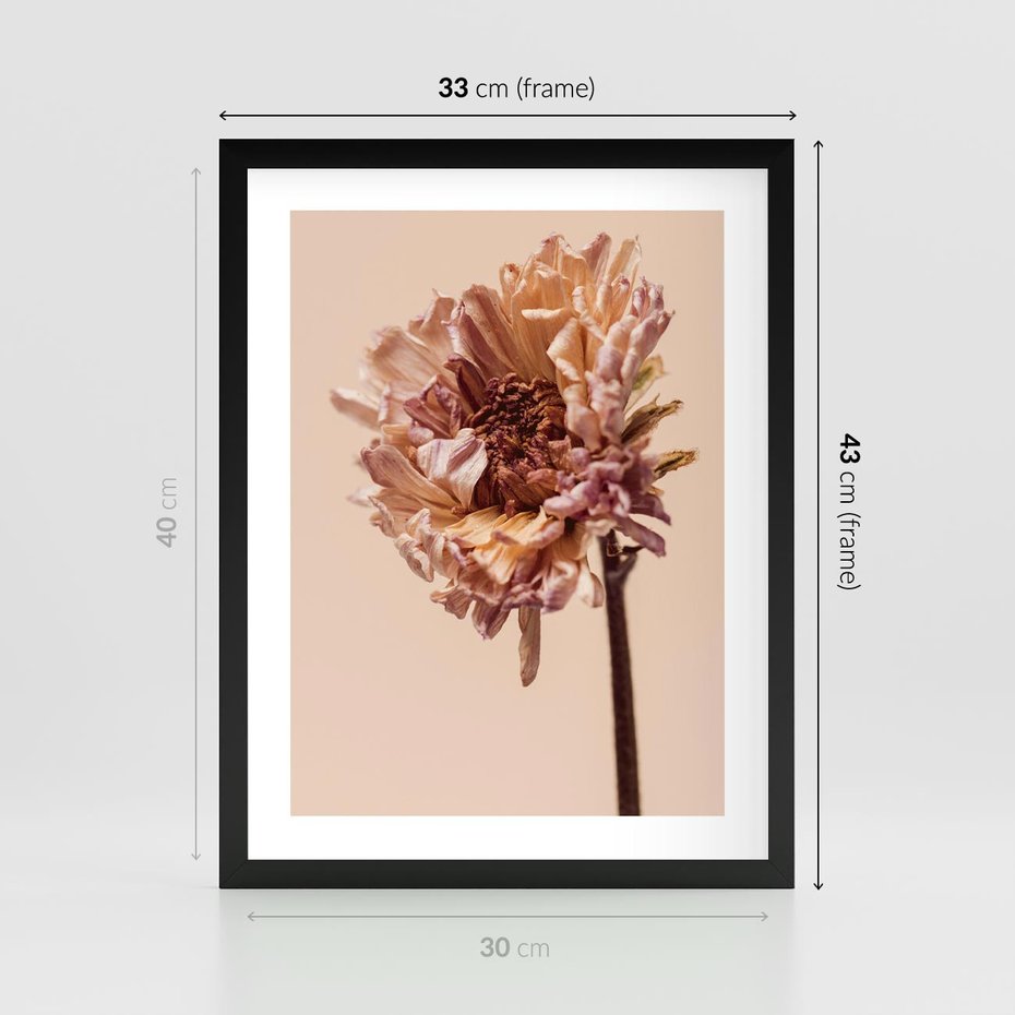 Plakat w ramie 30x40 - Delikatne piękno - suche, kwiaty - rama czarna