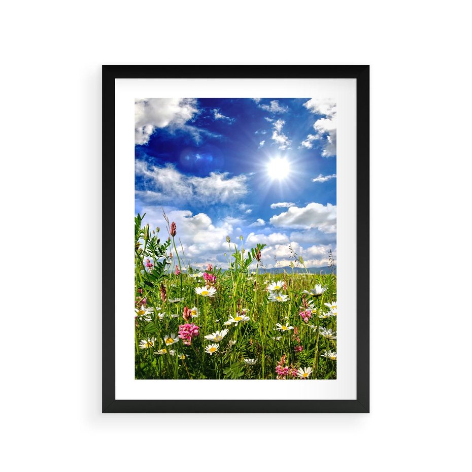 Plakat w ramie 30x40 - Niebiańska łąka pełna kwiatów - łąka, niebo - rama czarna