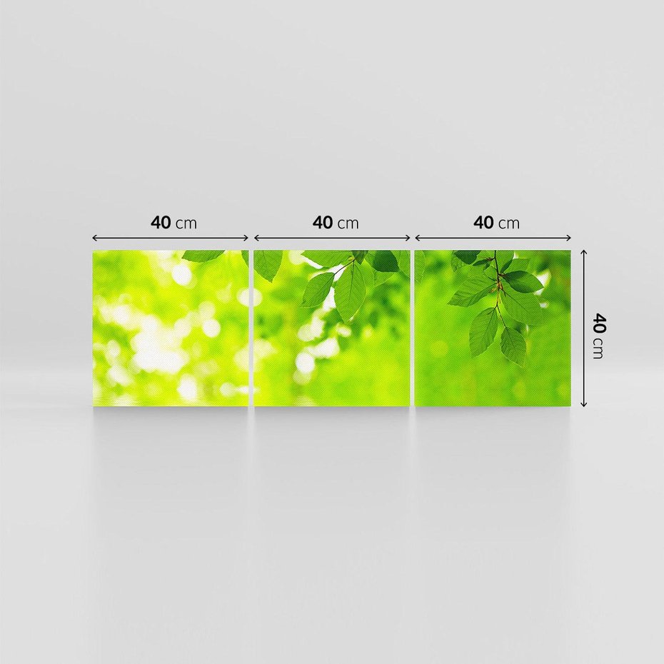 Obraz na płótnie 120x40 - Liście w Wodzie - liście, woda