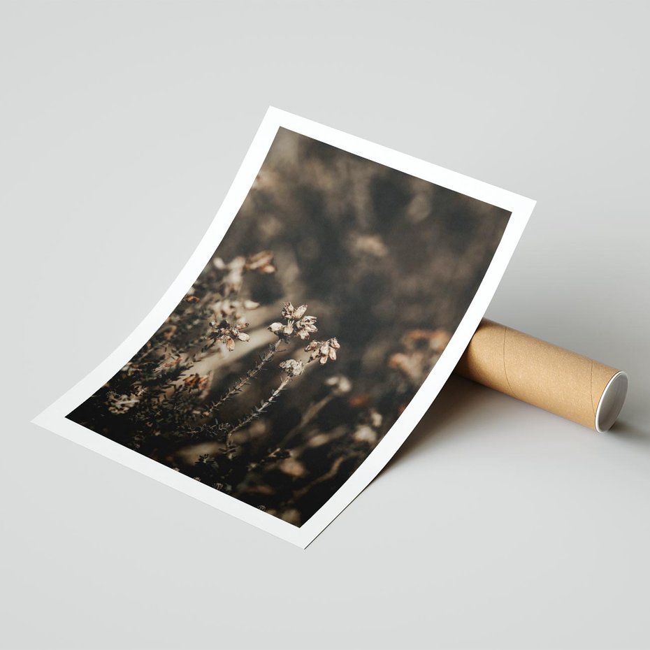 Plakat bez ramy 21x30 - Jesienny Urok - suche trawy, jesienny pejzaż