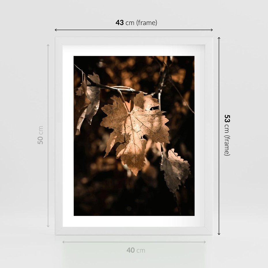 Plakat w ramie 40x50 - Uroczy Liść na Drzewie - jesienny liść, żółty liść na drzewie - rama biała