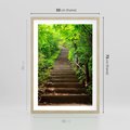 Plakat w ramie 50x70 - Lasowa ścieżka pełna tajemnic - ścieżka, schody - rama drewno