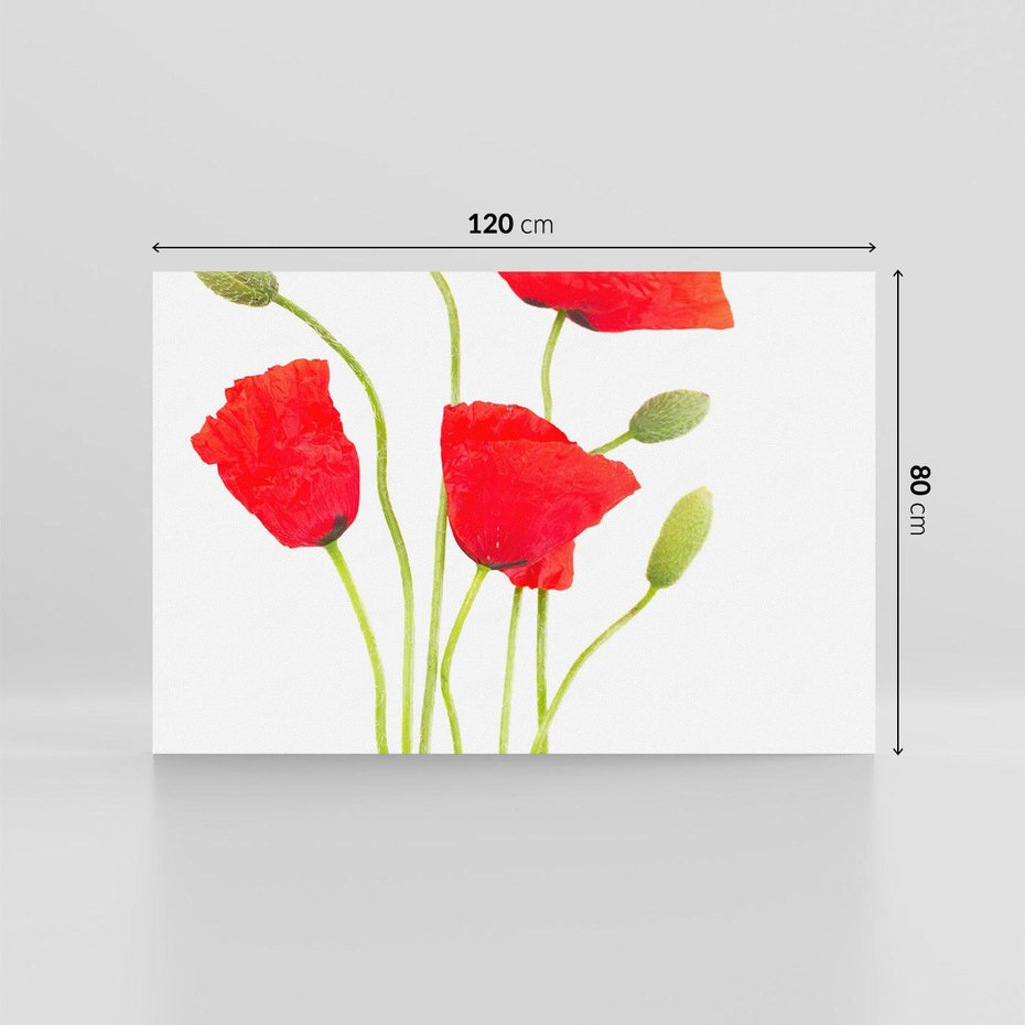 Obraz na płótnie 120x80 - Pola maków w pełnym kolorze - maki, kwiaty