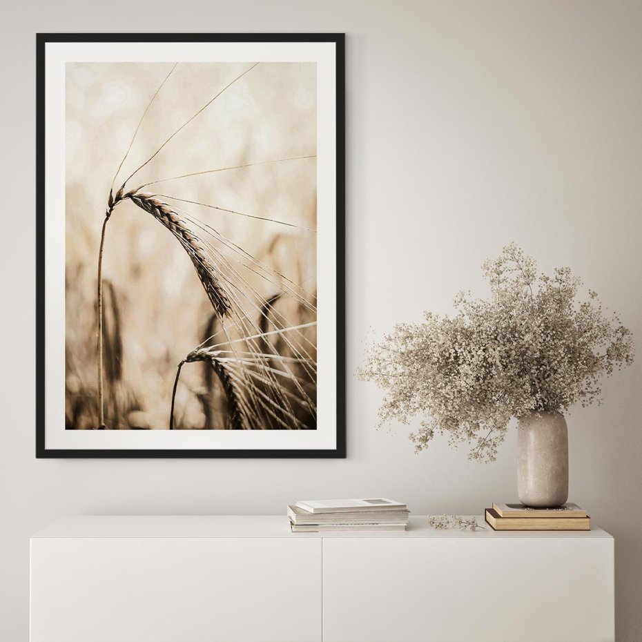 Plakat w ramie 30x40 - Źdźbło Pszenicy: Blisko Natury - źdźbło pszenicy, pszenica - rama czarna