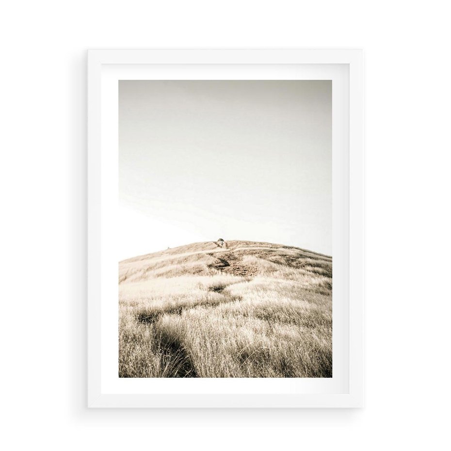 Plakat w ramie 50x70 - Wzgórze w Odcieniach Sepii - wzgórze, trawy - rama biała