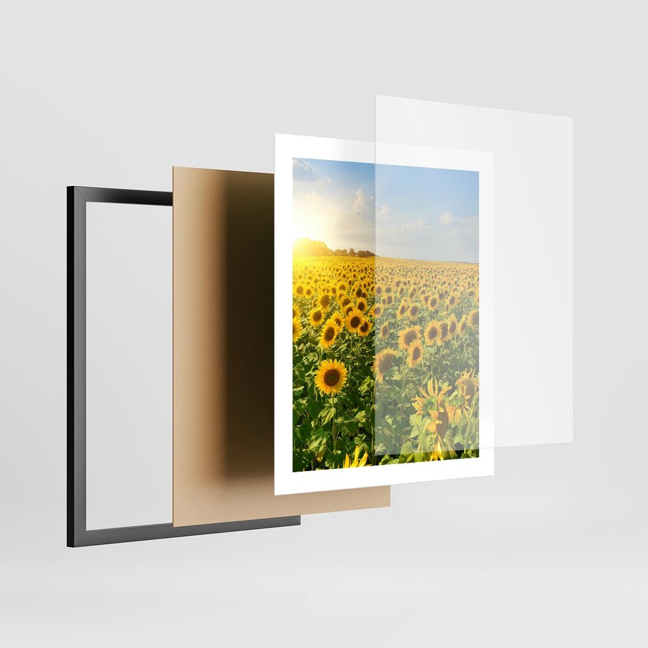 Plakat w ramie 40x50 - Idylla na łące słoneczników - łąka, słoneczniki - rama czarna