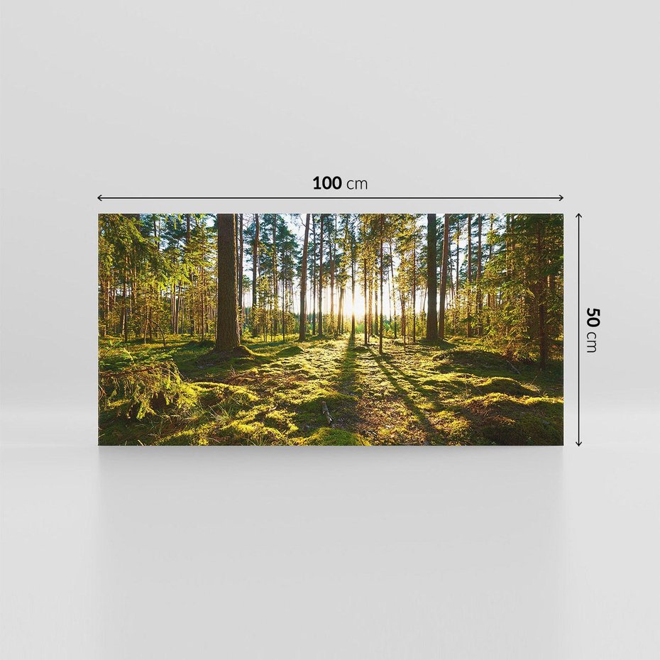 Obraz na płótnie 100x50 - Obfitość natury - las, drzewa