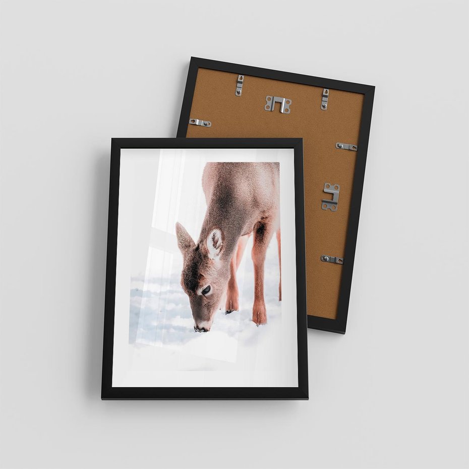 Plakat w ramie 30x40 - Sarna w Zimowym Raju - sarna, na śniegu - rama czarna