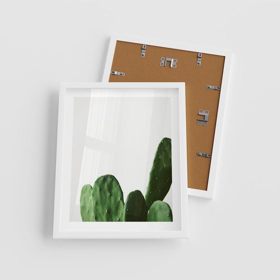 Plakat w ramie 40x50 - Minimalizm Natury - kaktus, zbliżenie - rama biała