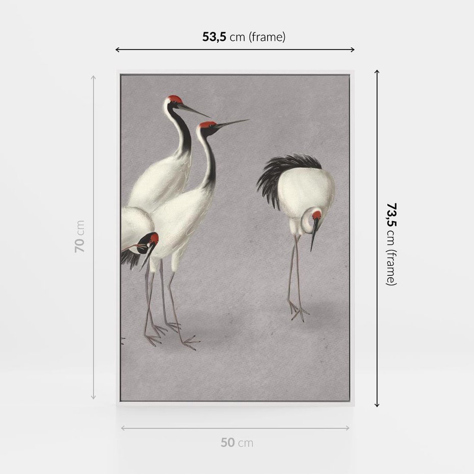 Obraz w ramie 50x70 - Spojrzenie wstecz w pędzlu - szkic rysunek, japońskie żurawie - rama biała