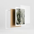 Plakat w ramie 30x40 - Kaktusowa Harmonia - kaktusy, fotografia - rama biała