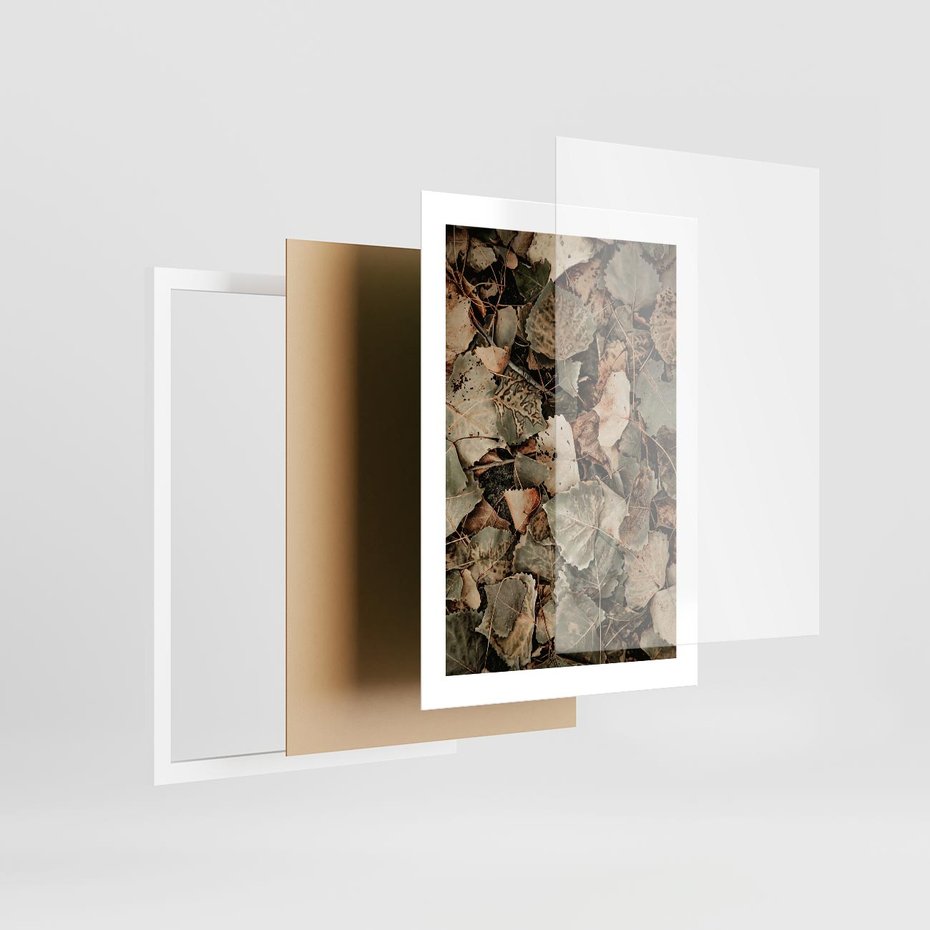 Plakat w ramie 30x40 - Magia Jesiennych Liści - liście, suche liście - rama biała