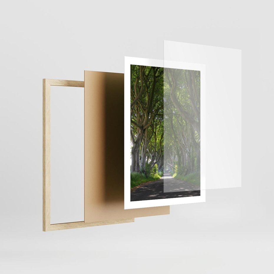 Plakat w ramie 50x70 - Magiczny Las - drzewa, las - rama drewno