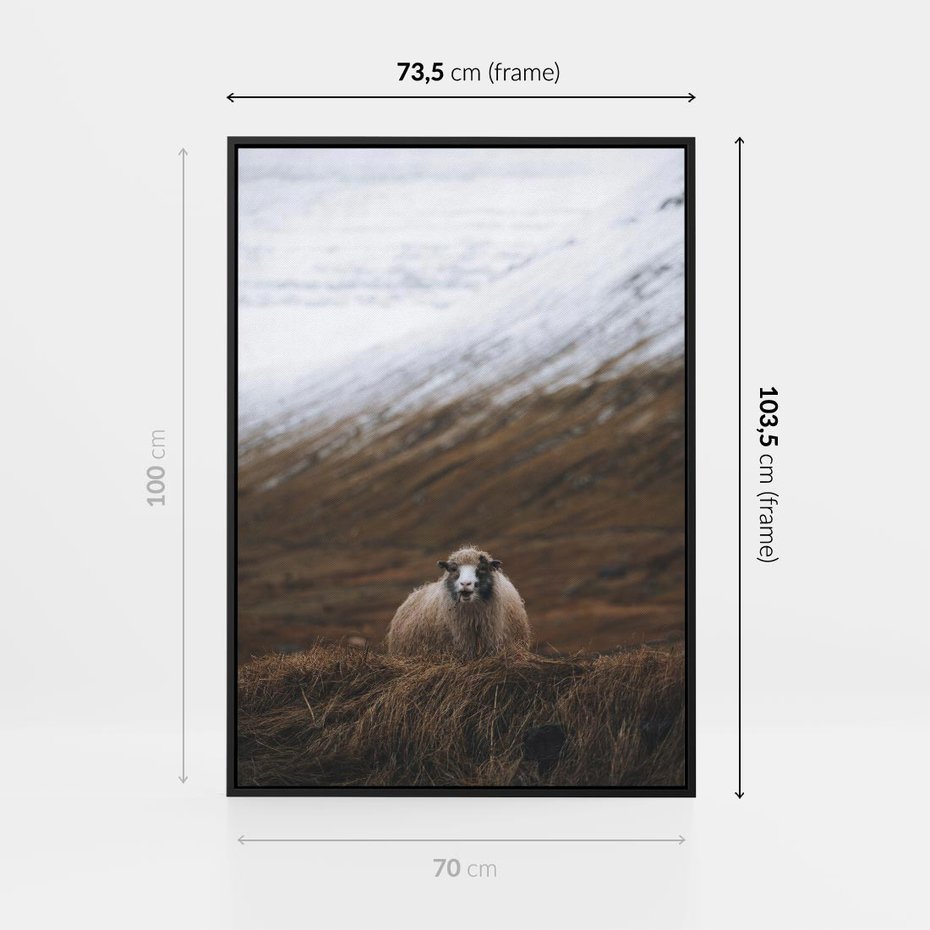 Obraz w ramie 70x100 - Owiecka panorama - góry, owca - rama czarna