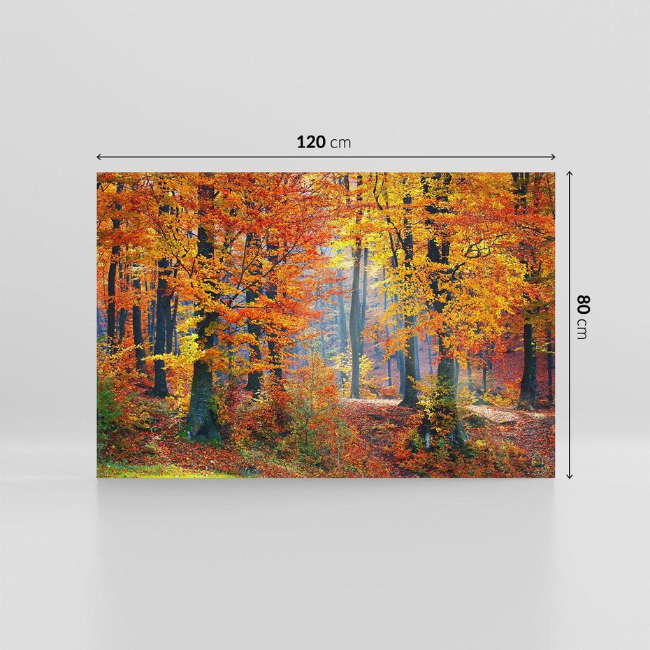 Obraz na płótnie 120x80 - Jesienny taniec lasu - jesień, las