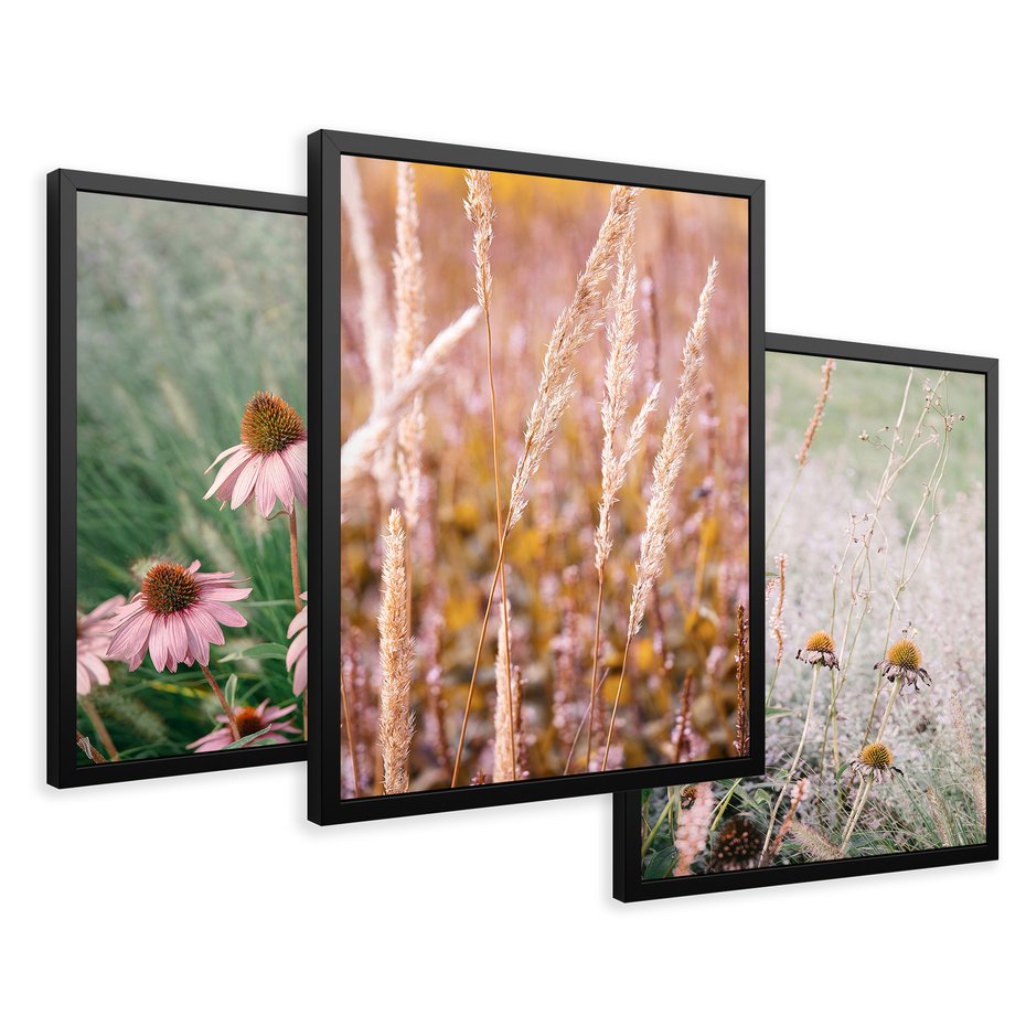 Zestaw obrazy w ramie 30x40 galeria - Kwiaty, łąka, suche, trawy - rama czarna