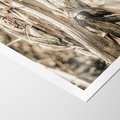 Plakat bez ramy 30x40 - Retro Pole Kukurydzy - retro zdjęcie, sepia
