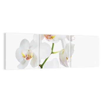 Obraz na płótnie 120x40 - Ekskluzywny Relaks - storczyk, spa