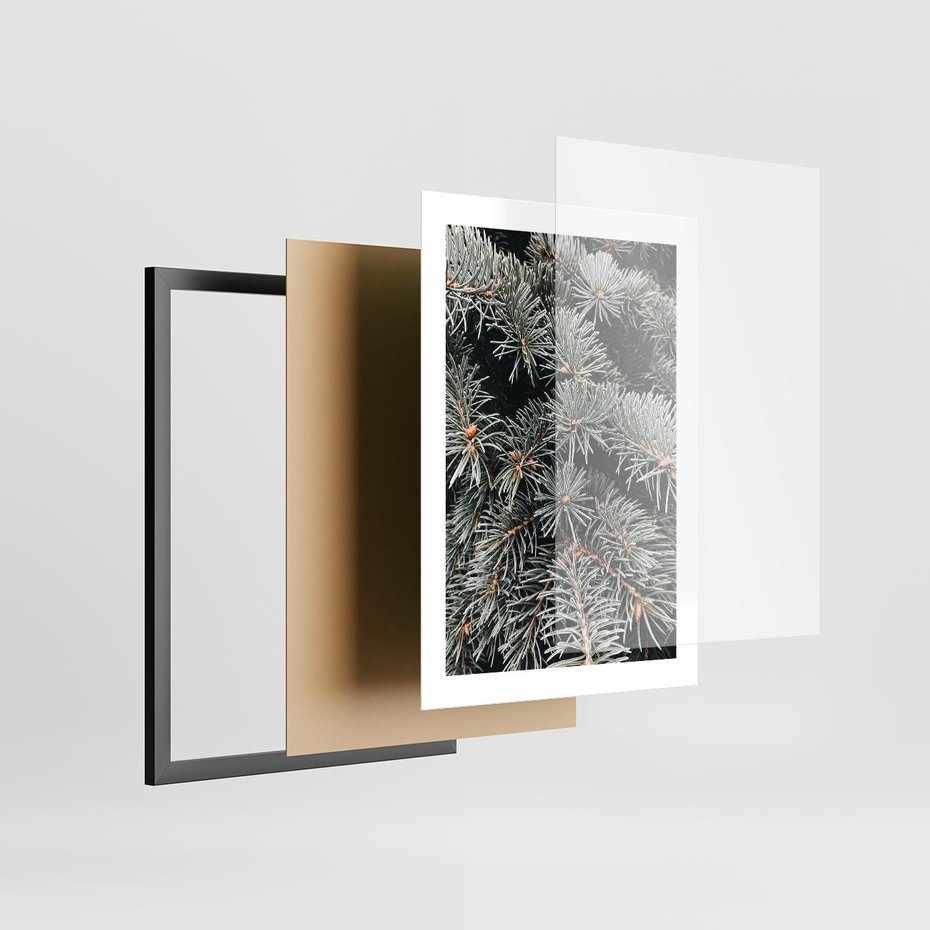 Plakat w ramie 30x40 - Zima na Gałęziach - sosnowe gałęzie, igły - rama czarna