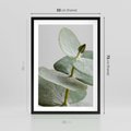Plakat w ramie 50x70 - Eukaliptusowa zieleń - eukaliptus, zielone - rama czarna