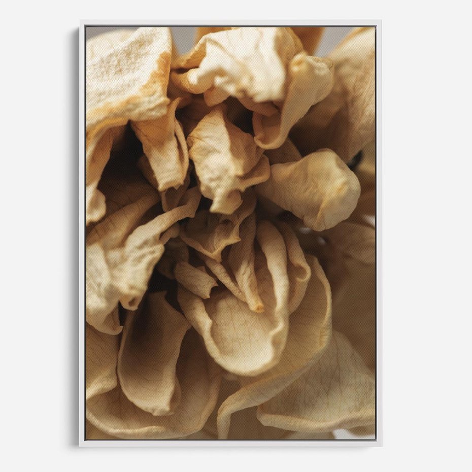 Obraz w ramie 50x70 - Zjawiskowe zasuszone kwiaty - zasuszone, kwiaty - rama biała