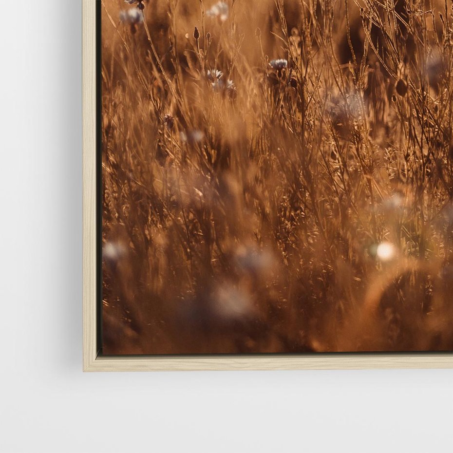 Obraz w ramie 50x50 - Zachwyt zachodem słońca na łące - zachód, słońca - rama drewno