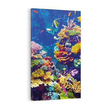 Obraz na płótnie 70x100 - Podwodne Zaczarowanie - kolorowa rafa koralowa, ukwiały