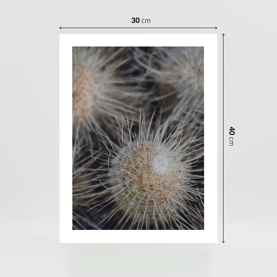 Plakat bez ramy 30x40 - Ulotna Piękność Natury - makro, dmuchawce