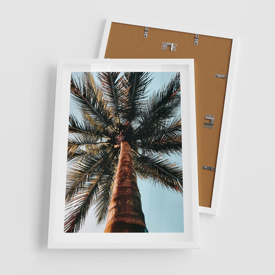 Plakat w ramie 50x70 - Rajskie Inspiracje: Palma na Niebie - palma, na tle nieba - rama biała
