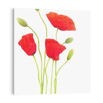 Obraz na płótnie 30x30 - Pola maków w pełnym kolorze - maki, kwiaty