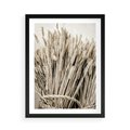 Plakat w ramie 50x70 - Letni Plon - zboże, kłosy zboża - rama czarna