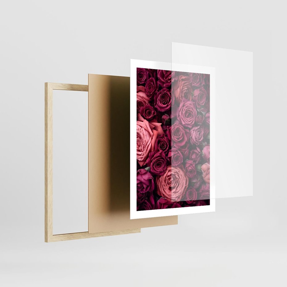 Plakat w ramie 50x70 - Róże - piękno kwiatów - róże, kwiaty - rama drewno