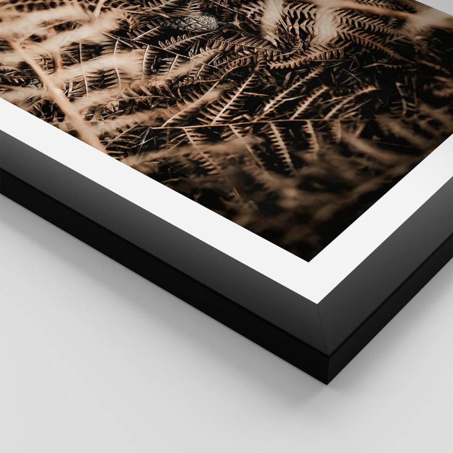 Plakat w ramie 30x40 - Liście i Paprocie - suche liście, paprocie - rama czarna