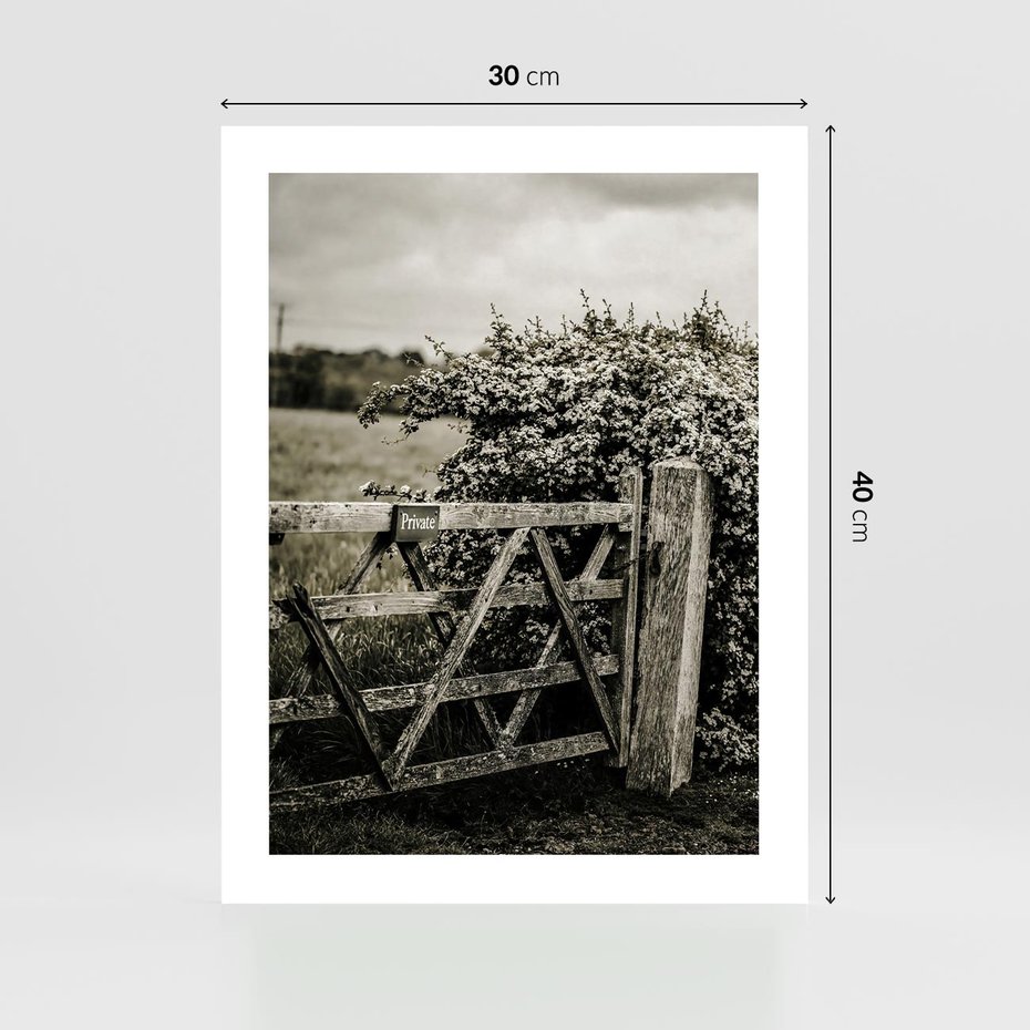 Plakat bez ramy 30x40 - Wiejski Urok: Stary Płot i Kwitnący Krzew - rustykalne zdjęcie, stary płot
