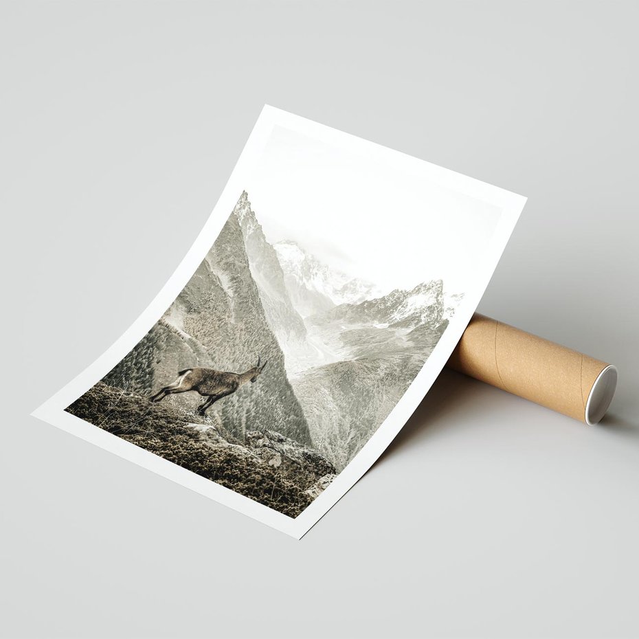 Plakat bez ramy 21x30 - Dzikie Piękno: Kozica w Malowniczym Górskim Scenerii - kozica, góry