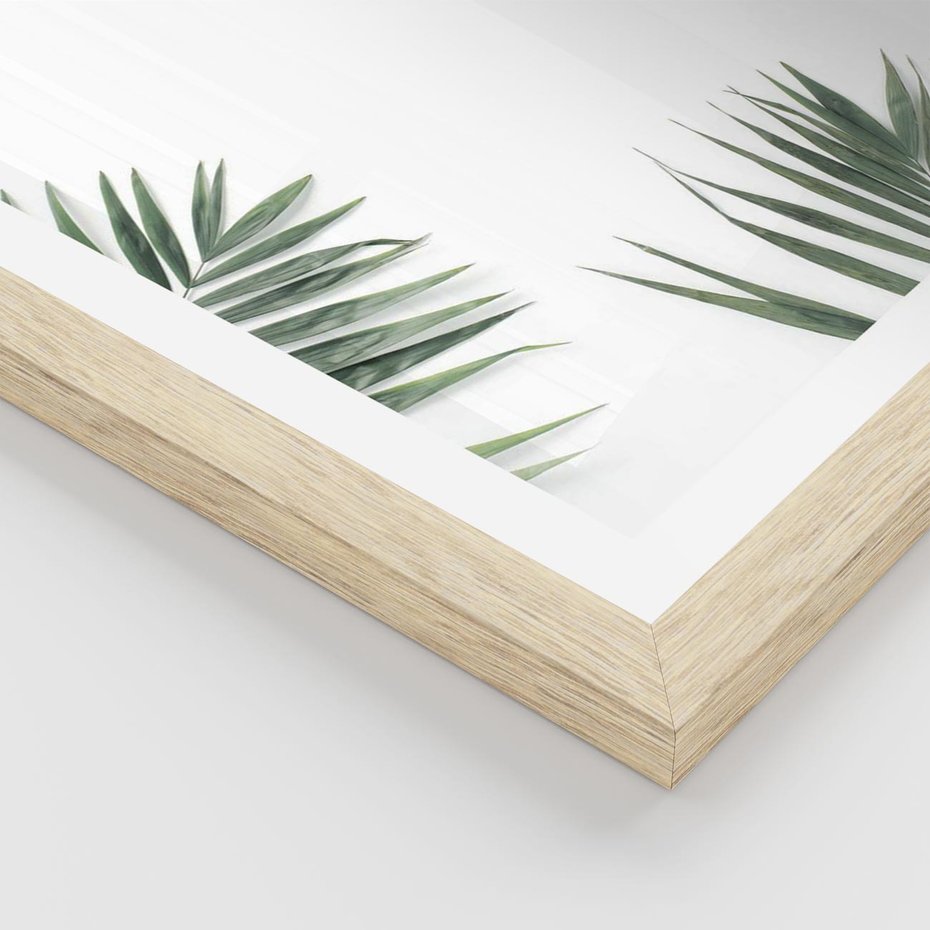 Plakat w ramie 40x50 - Liście Palmy na Czystym Tle - liście palmy, białe tło - rama drewno