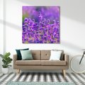 Obraz na płótnie 50x50 - Zaklęta lawenda - lawenda, kwiaty
