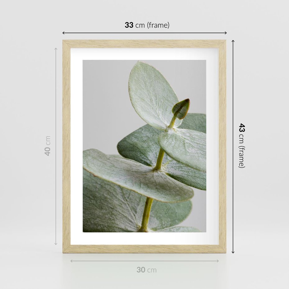 Plakat w ramie 30x40 - Eukaliptusowa zieleń - eukaliptus, zielone - rama drewno