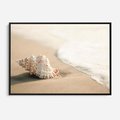 Obraz w ramie 100x70 - Urok plażowej muszelki - fotografia, muszla na plaży - rama czarna