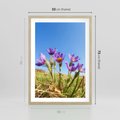 Plakat w ramie 50x70 - Kwiatowa siła łąki - kwiaty, łąka - rama drewno