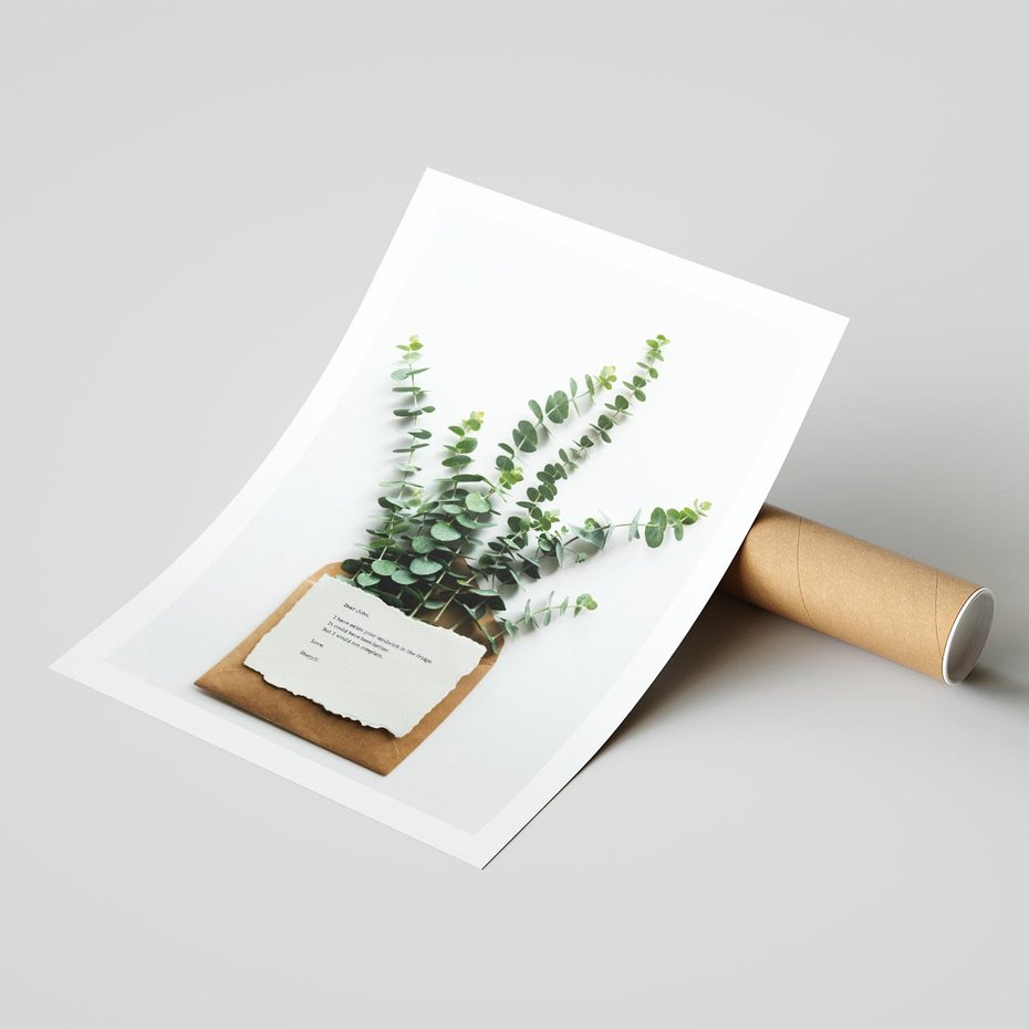 Plakat bez ramy 21x30 - Eukaliptusowa harmonia - eukaliptus, liście