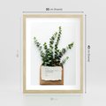 Plakat w ramie 30x40 - Eukaliptusowa harmonia - eukaliptus, liście - rama drewno
