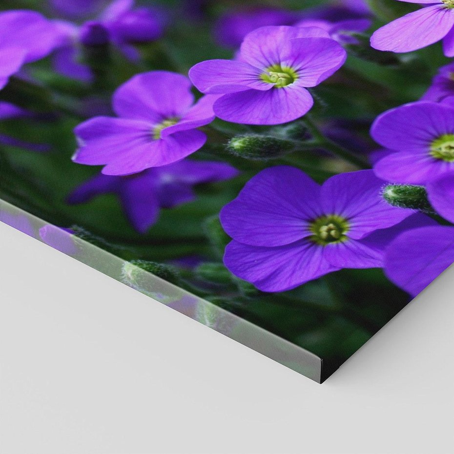 Obraz na płótnie 120x40 - Kwiatowe uniesienia magia natury - kwiat, kwiaty