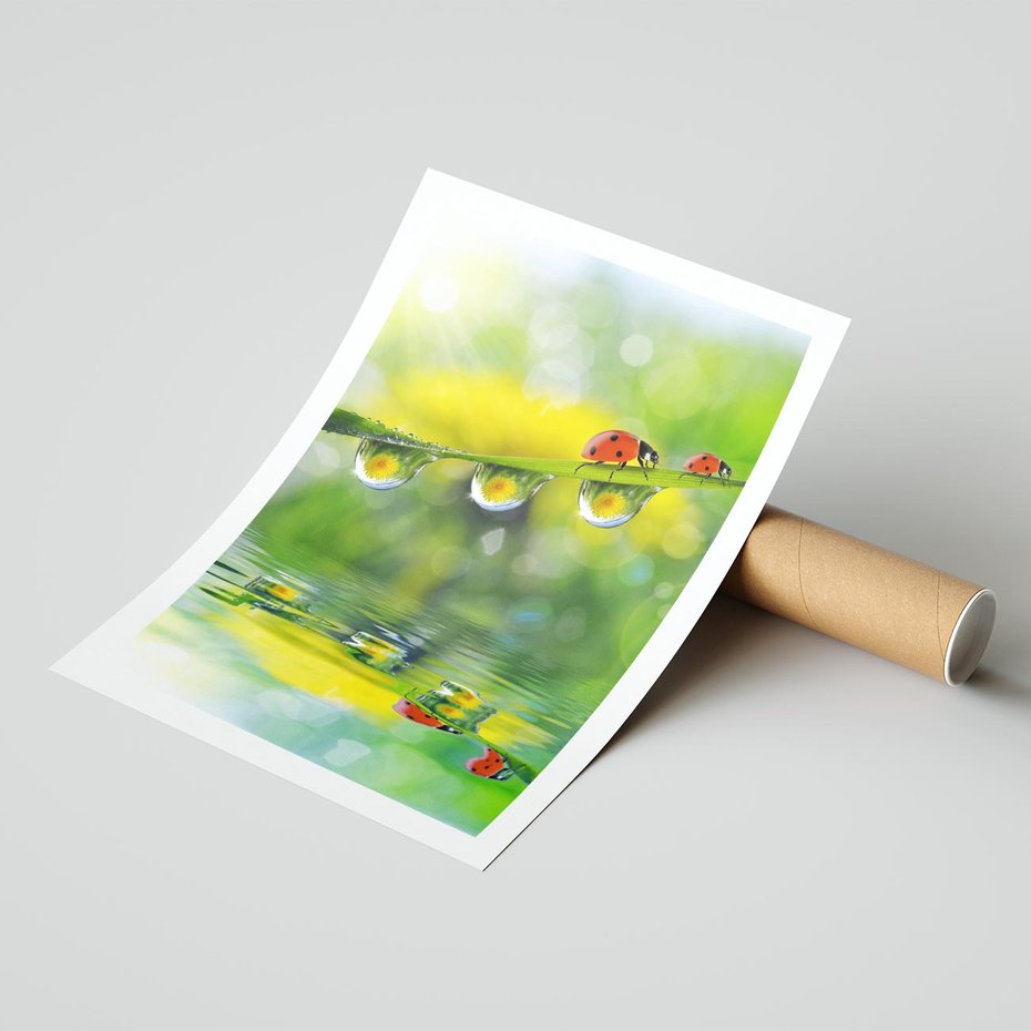 Plakat bez ramy 21x30 - Deszczowa Biedronka - biedronka, deszcz