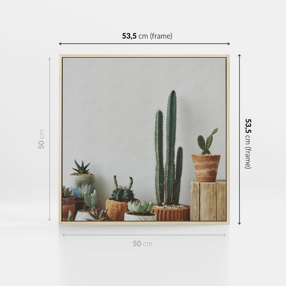 Obraz w ramie 50x50 - Naturalna Harmonia - kaktusy, liście - rama drewno