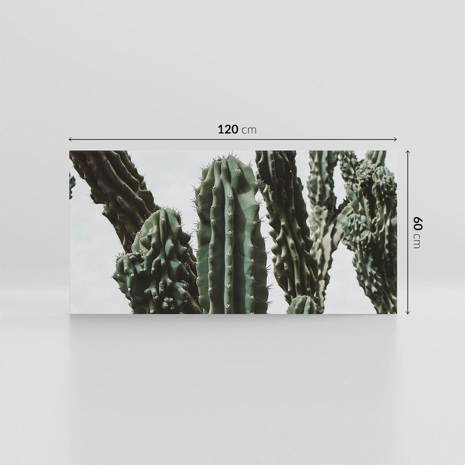 Obraz na płótnie 120x60 - Boho oaza wśród kaktusów - kaktusy, pustynia